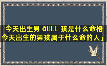 今天出生男 💐 孩是什么命格「今天出生的男孩属于什么命的人」